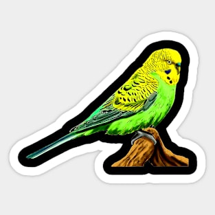 Vivid Voices: Budgies Bring Colorful Melodies to Graphic Tee Sticker